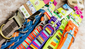 dog supplies