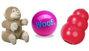 buy pet toys in Racine, WI buy puppies and pet supplies in Racine, WI