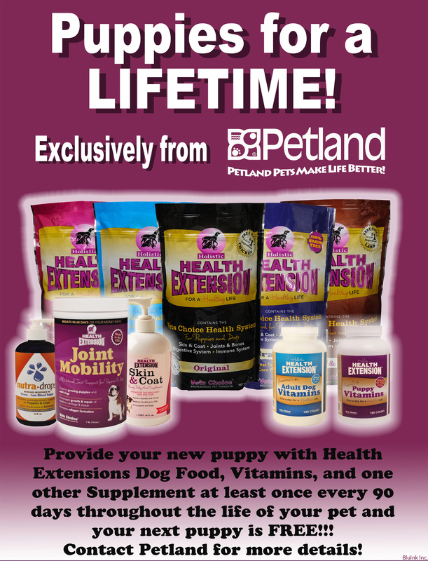 health-extension