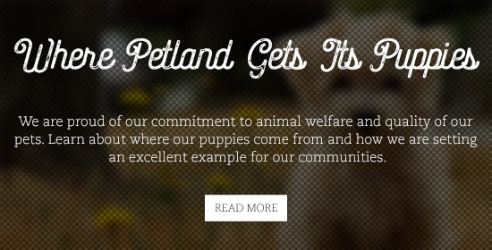 petland-gets