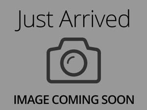 Rottweiler-Male-Black & Rust-4167440-Petland Dunwoody